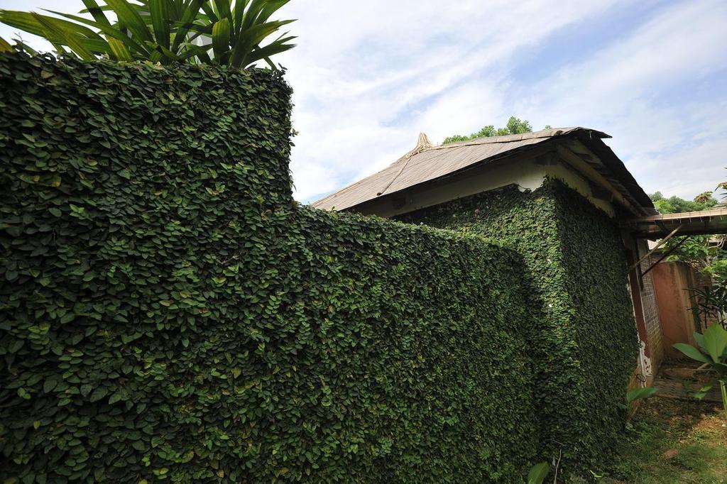 Tan Da Spa Resort - Hanoi — Photos 1